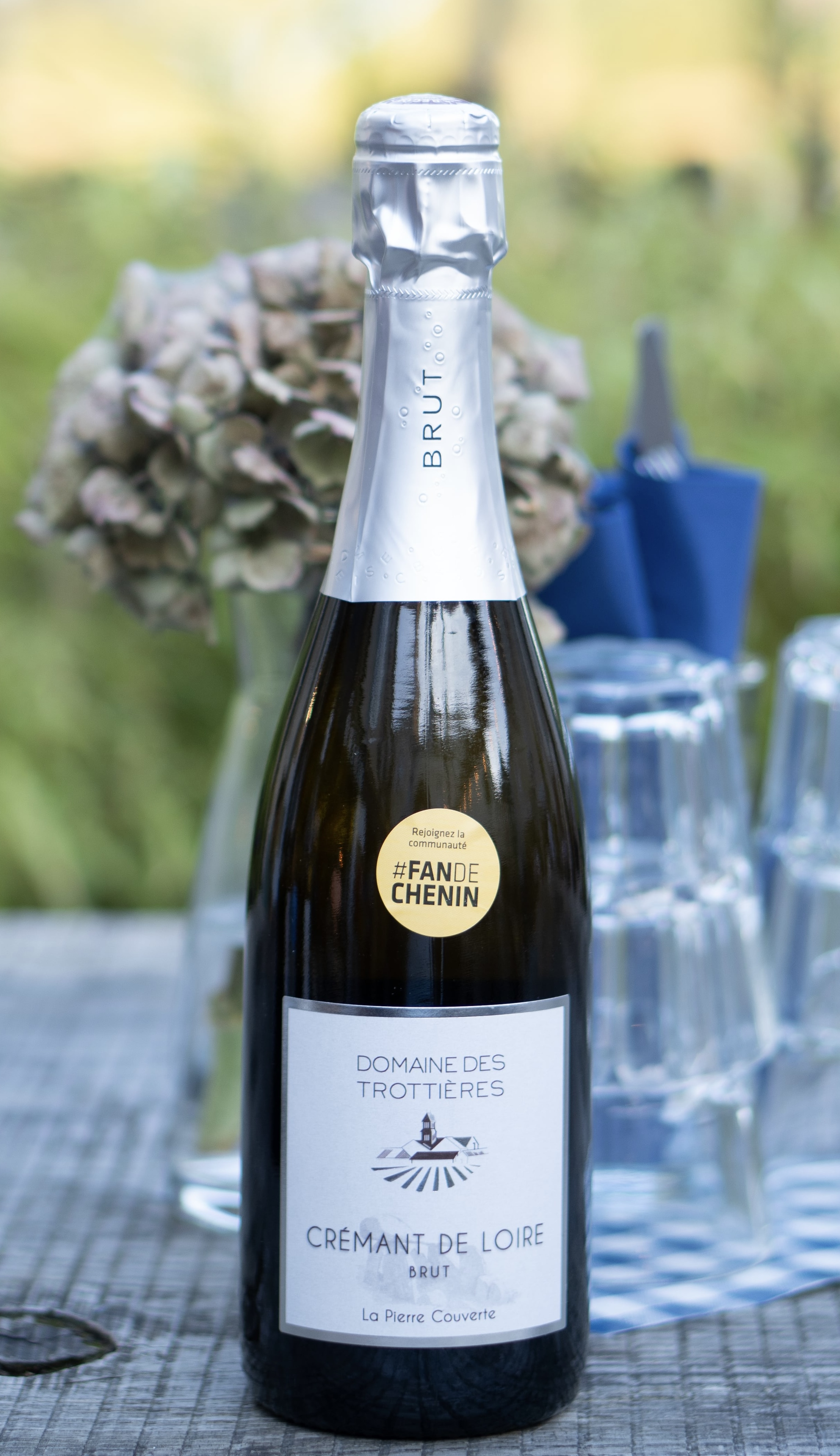 Anjou Chenin « Domaine des Trottières »