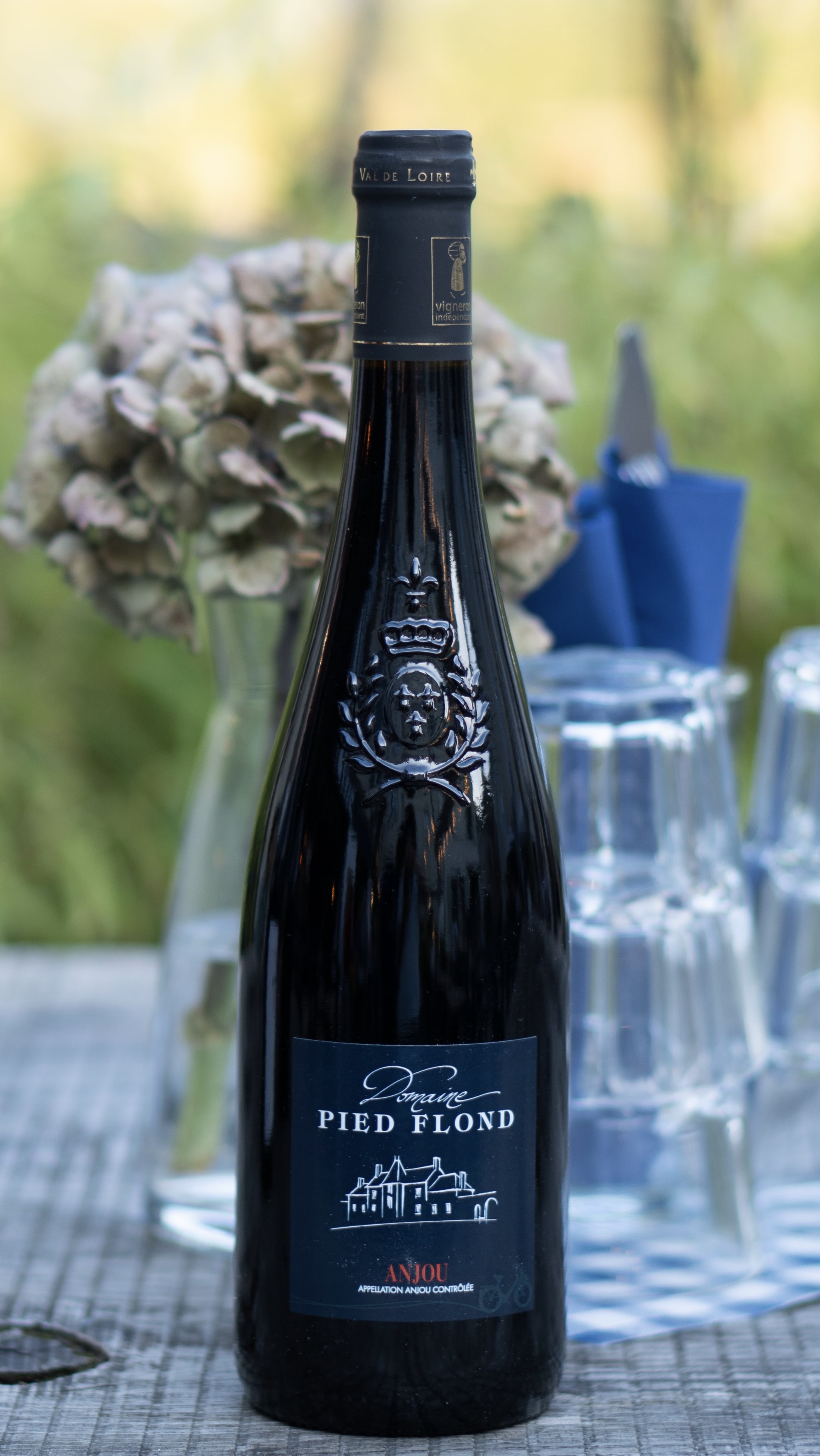 Anjou « Domaine Pied Flond »